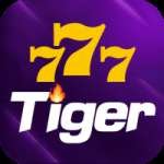 777tiger - Live Champion