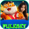 pulebet - Champion Earning App